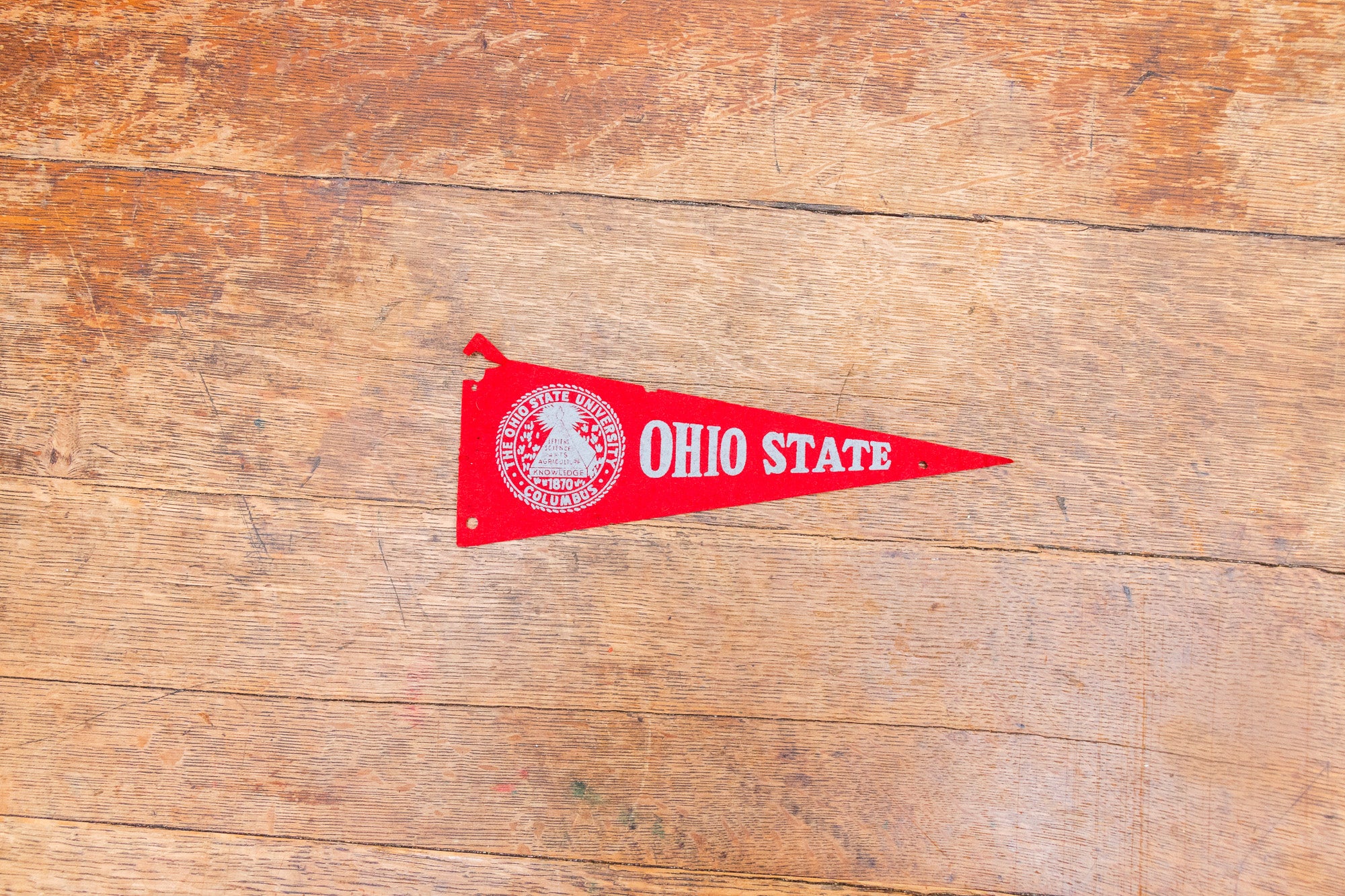 Ohio State University Wood Wall Hanging with O-H-I-O Logo