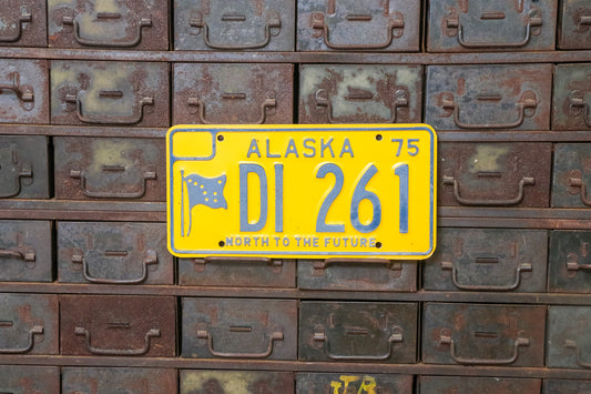 1975 Alaska License Plate Vintage Yellow Decor DI261