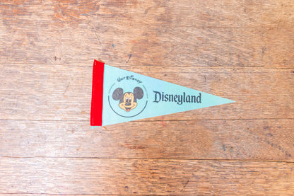 Disneyland California Felt Pennant Vintage Blue Mini CA Wall Decor - Eagle's Eye Finds