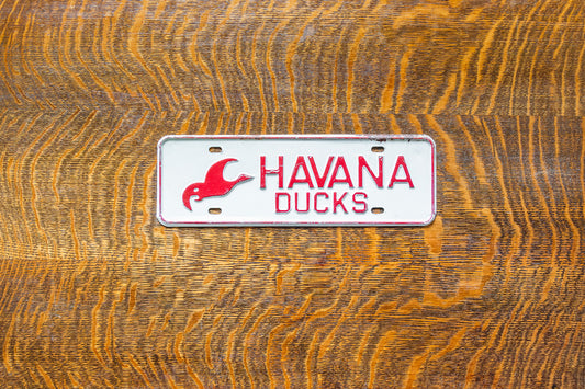 Havana Ducks Illinois License Plate Topper Vintage Bird Decor