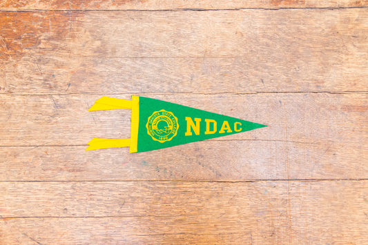 North Dakota State Green Felt Pennant Vintage NDSU Wall Decor