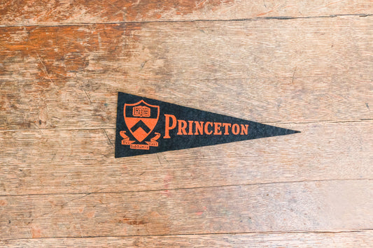 Princeton University Mini Felt Pennant Vintage College Decor