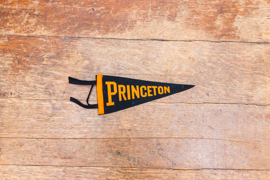 Princeton University Mini Felt Pennant Vintage Black College Decor - Eagle's Eye Finds