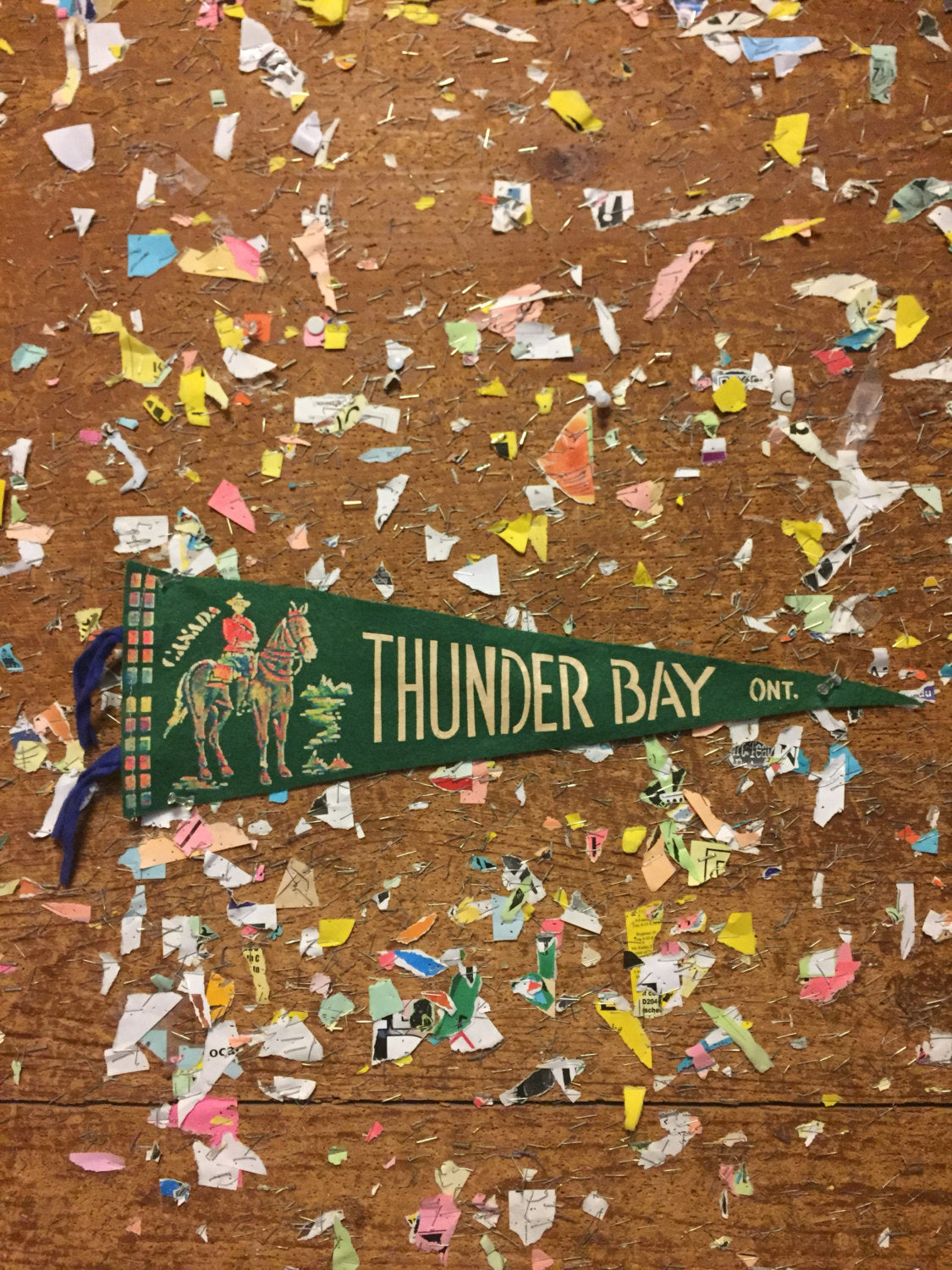 Thunder Bay Ontario Green Felt Pennant Vintage Wall Decor - Eagle's Eye Finds