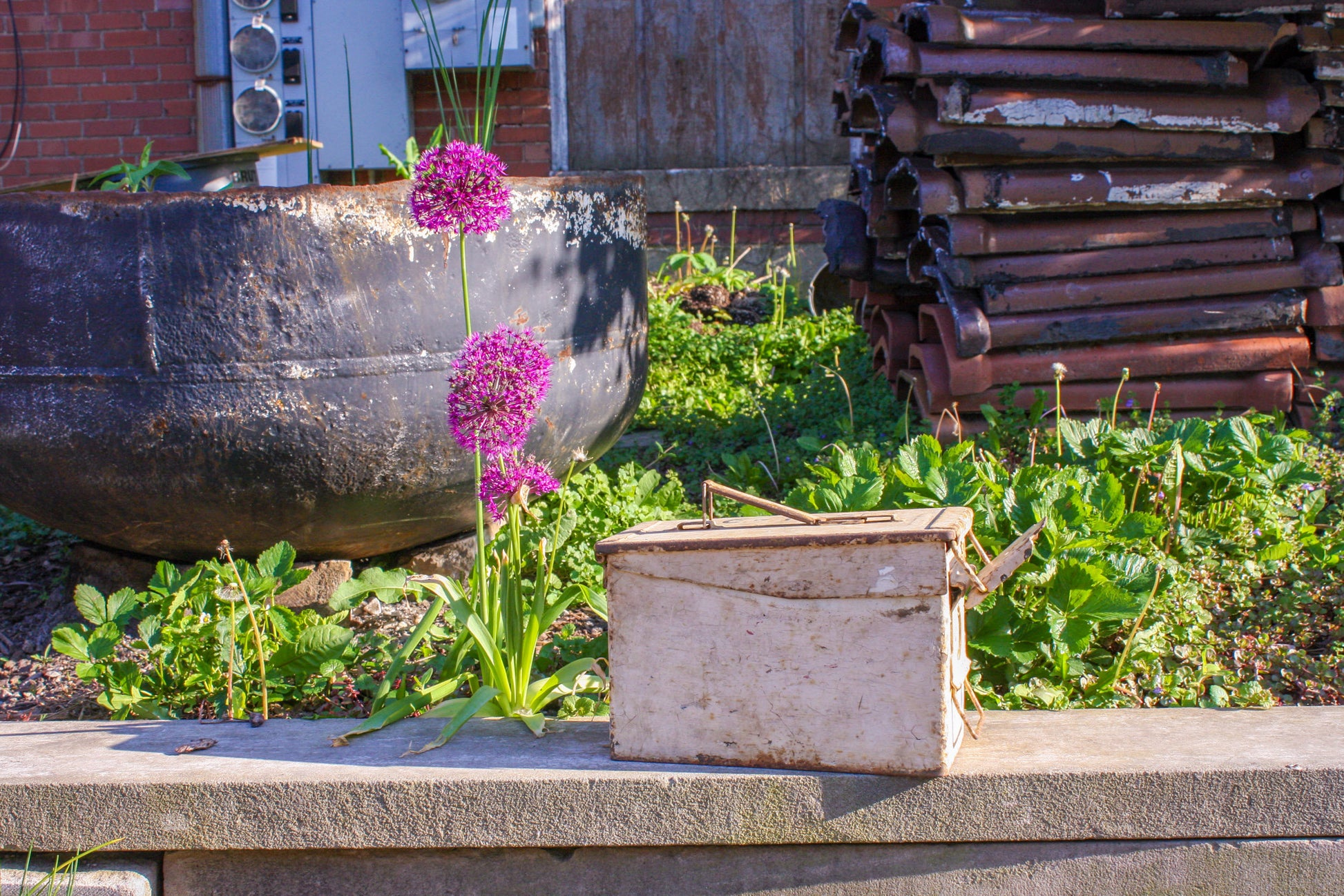 Chippy White Ammo Box Unique Vintage Planter or Container - Eagle's Eye Finds