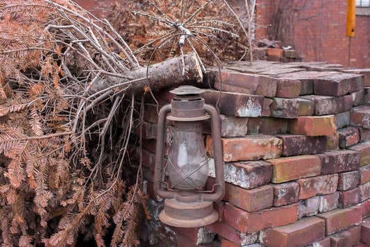 Dietz Paull's Leader No. 2 Vintage Rustic Lantern - Eagle's Eye Finds