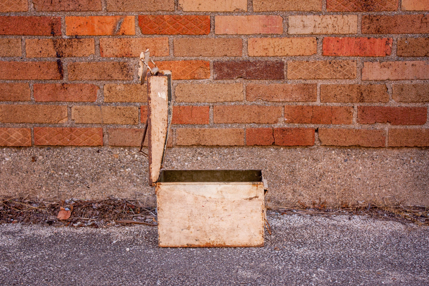 Chippy White Ammo Box Unique Vintage Planter or Container - Eagle's Eye Finds