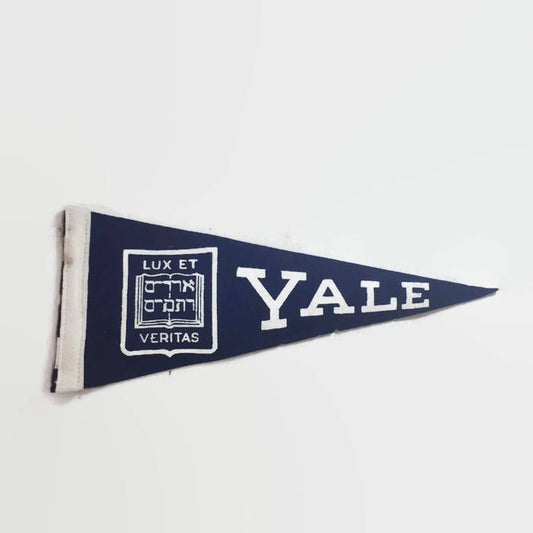 Yale University Mini Felt Pennant Vintage College Decor - Eagle's Eye Finds