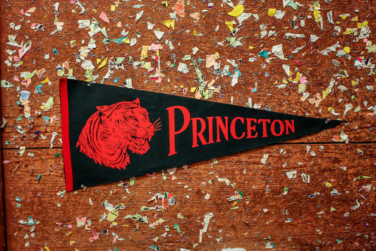 Princeton University Tiger Felt Pennant Vintage Collegiate Wall Decor - Eagle's Eye Finds