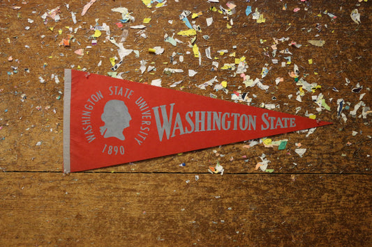 Washington State University  Felt Pennant Vintage College Decor - Eagle's Eye Finds