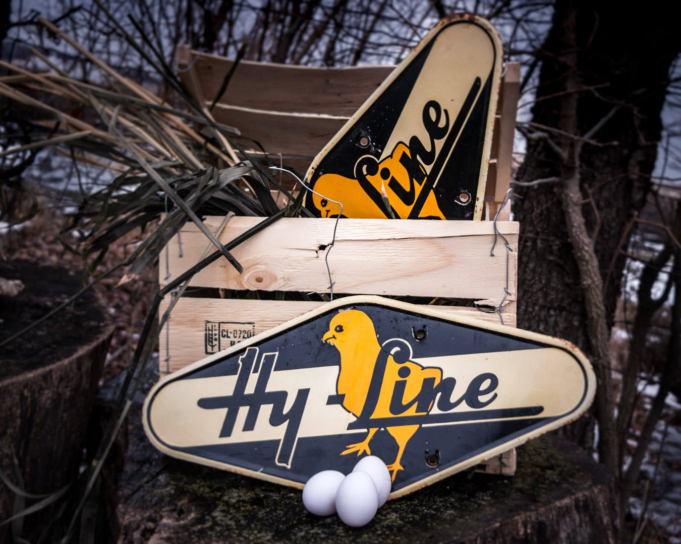 Hy-Line Chicks Fence Spinner Sign Vintage Double Sided Tin Farm Sign - Eagle's Eye Finds