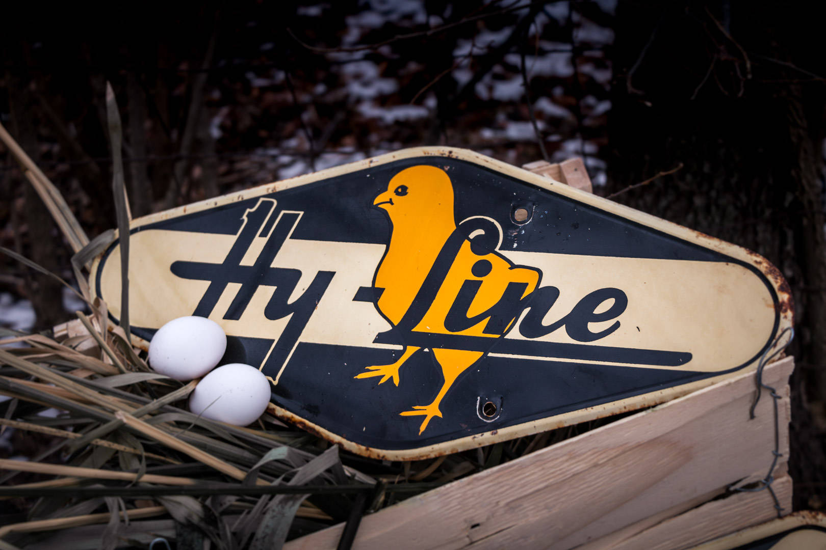 Hy-Line Chicks Fence Spinner Sign Vintage Double Sided Tin Farm Sign - Eagle's Eye Finds