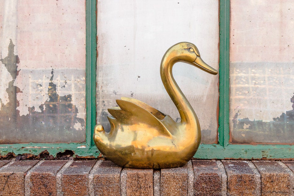 Brass Swan Planter Vintage Bohemian Bird Decor - Eagle's Eye Finds