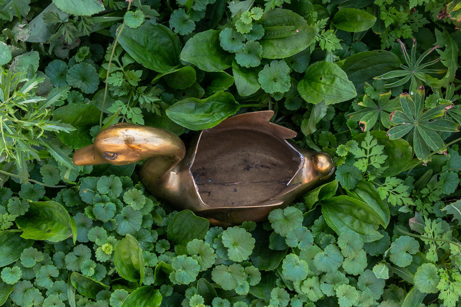 Brass Swan Planter Vintage Bohemian Bird Decor - Eagle's Eye Finds