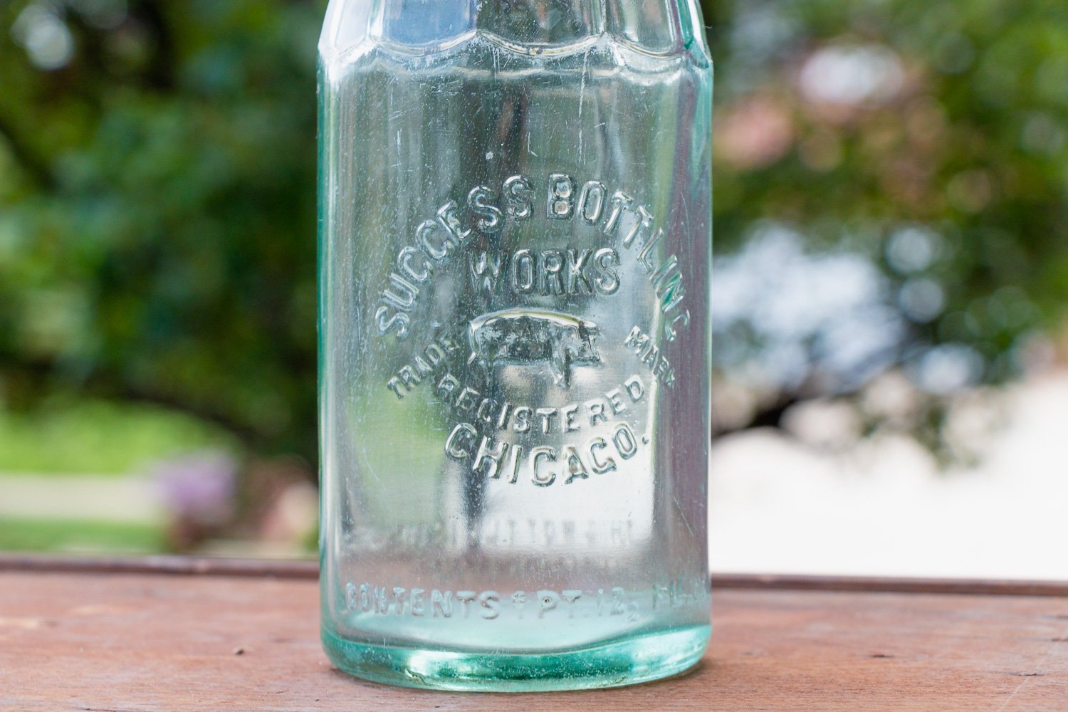 Success Bottling Works Chicago Embossed Pig Aqua Soda Bottle - Eagle's Eye Finds