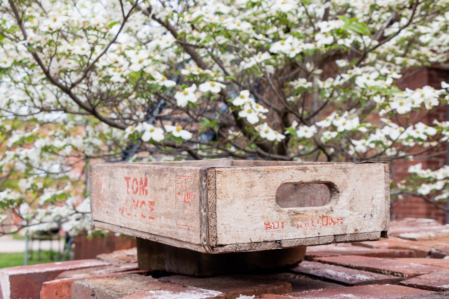 Tom Joyce 7up Soda Crate Vintage Wood Pop Box - Eagle's Eye Finds