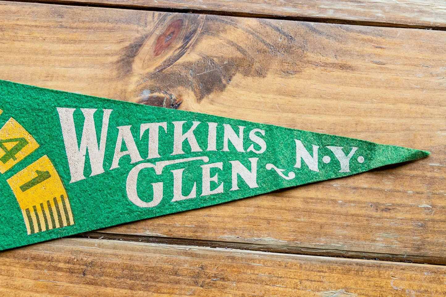 Watkins Glen State Park New York Felt Pennant Green Vintage Wall Decor - Eagle's Eye Finds