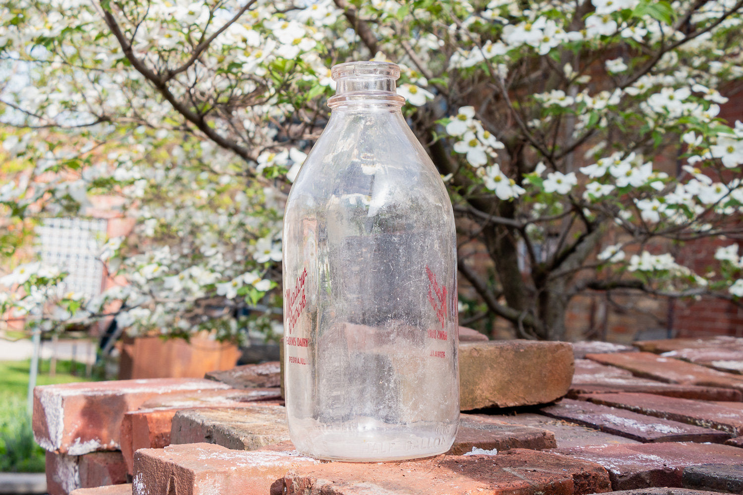 Meadow Brook Farms Dairy Vintage Embossed Glass Half Gallon Milk Bottle From Peoria IL - Eagle's Eye Finds