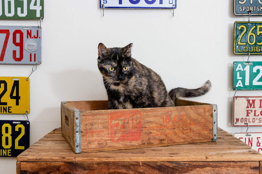 7up Cola Soda Crate Vintage Wood Pop Box - Eagle's Eye Finds