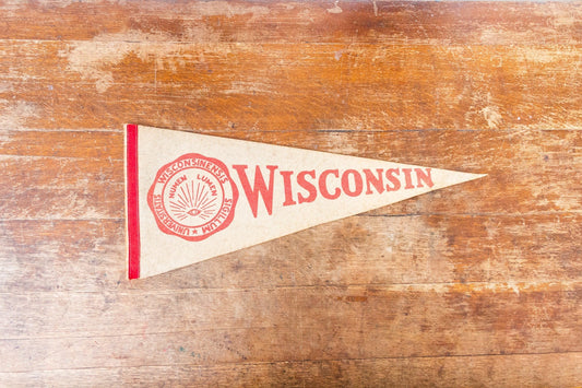 University of Wisconsin Felt Pennant Vintage College Wall Decor - Eagle's Eye Finds