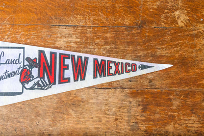 State of New Mexico White Felt Pennant Vintage NM Wall Decor - Eagle's Eye Finds