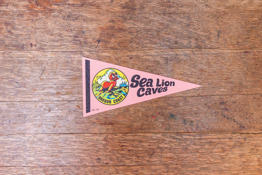 Sea Lion Caves Oregon Felt Pennant Vintage Pink OR Wall Decor - Eagle's Eye Finds