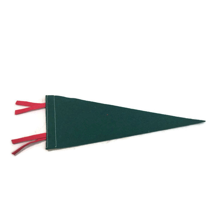 St. Felicien Zoo Quebec Green Felt Pennant - Eagle's Eye Finds